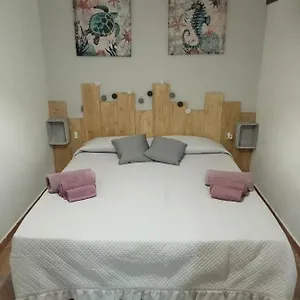 https://casa-vacanze-il-mirto-bianco.hotelsalgherosardinia.com
